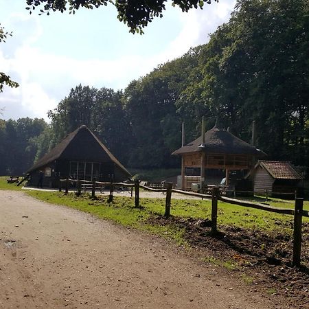 Reewold Veluwe Villa Putten Esterno foto