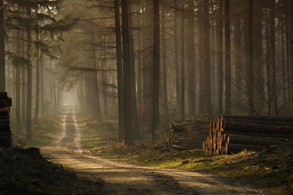 Reewold Veluwe Villa Putten Esterno foto