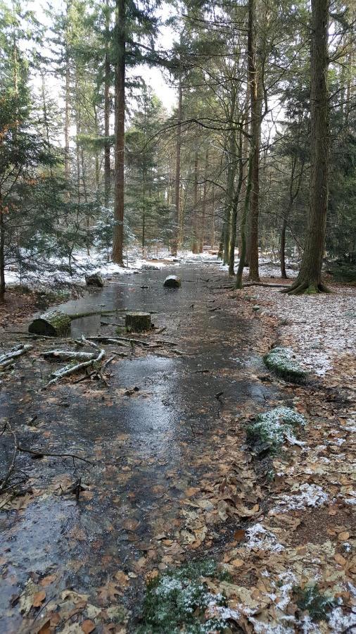 Reewold Veluwe Villa Putten Esterno foto