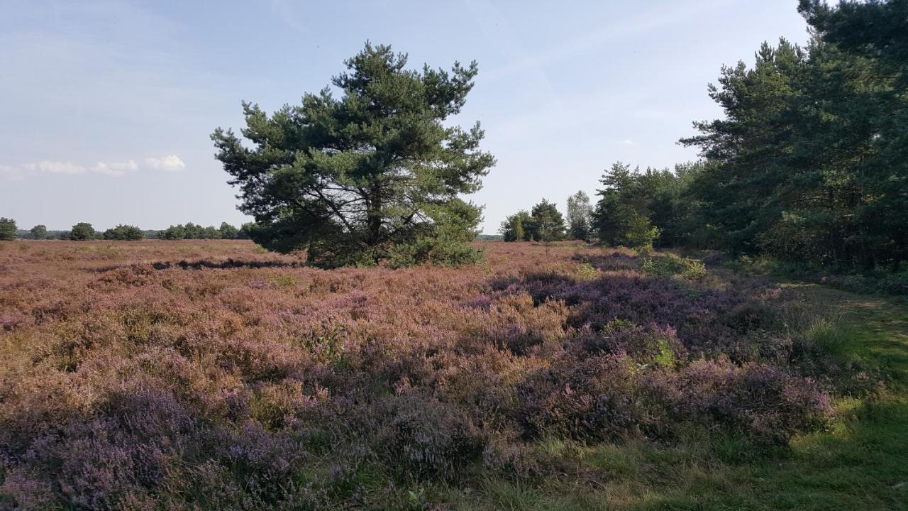 Reewold Veluwe Villa Putten Esterno foto