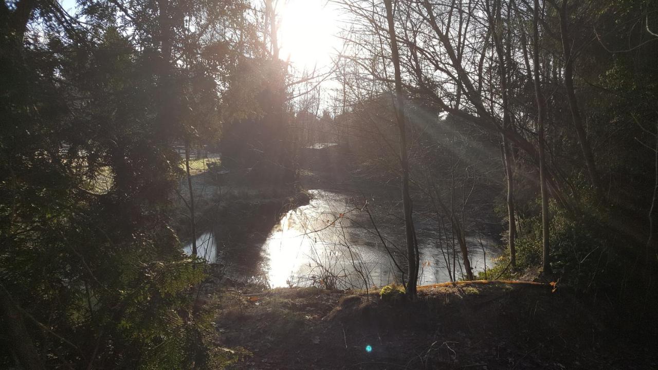 Reewold Veluwe Villa Putten Esterno foto