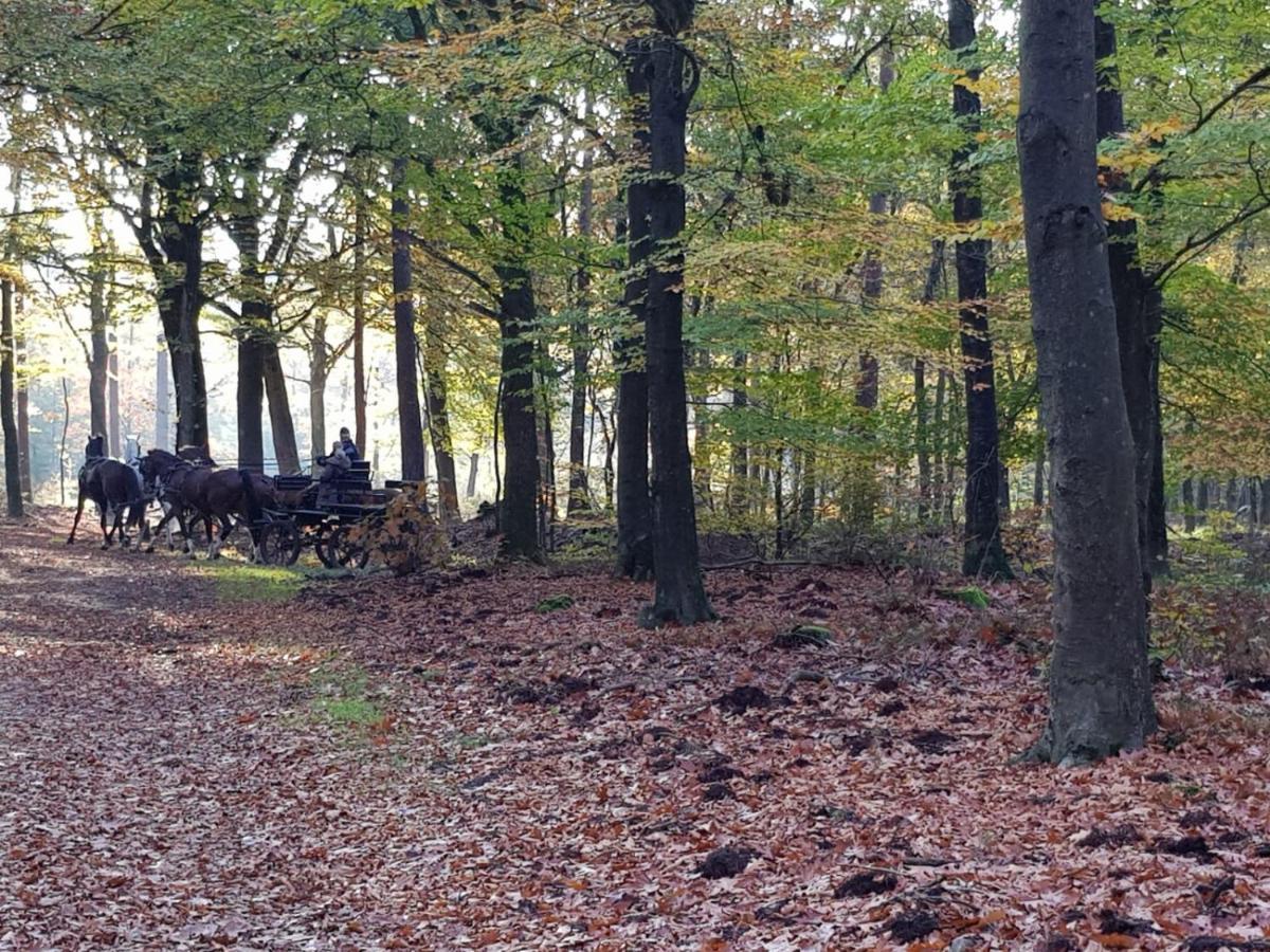 Reewold Veluwe Villa Putten Esterno foto