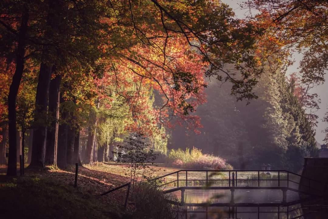 Reewold Veluwe Villa Putten Esterno foto